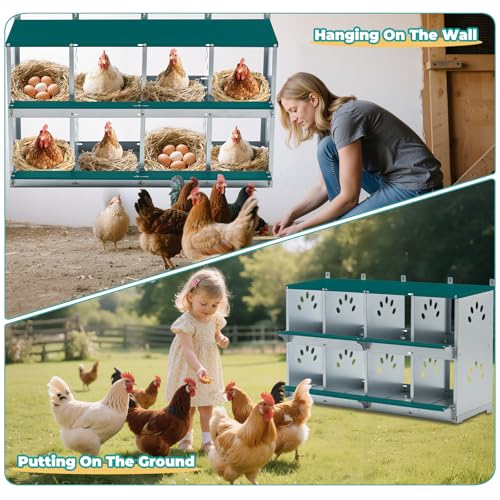 Chicken Coop Nesting Boxes, Wall Mountable Metal Chicken Nesting Box, Easy Egg Collection Roll Away Nesting Boxes Chicken