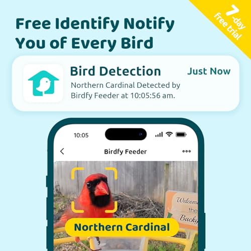 NETVUE Birdfy® Pro Bird Feeder with Camera, Wider Perch DIY Add-ons, Hummingbird Feeder, Suet Ball, Jelly Feeder