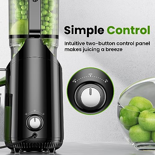 Cold Press Juicer
