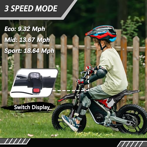 OLALA 36V Electric Dirt Bike for Kids Aged 4-8, Brushless 350W Racing Grade Electric Motorcycle, Up to 18.6MPH & 3 Speed Settings, Dual Disc Brakes
