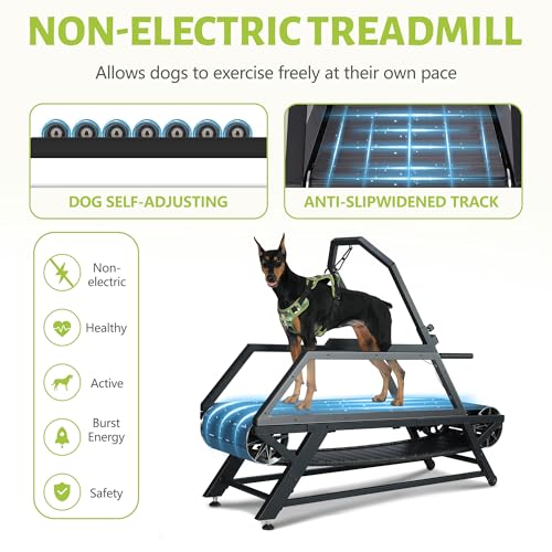 Dog Treadmill for Large/Medium Dogs, Non-Electric Canine Treadmill with Step Counter Dog Tred Treadmill for Indoor/Outdoor Up to 300lbs