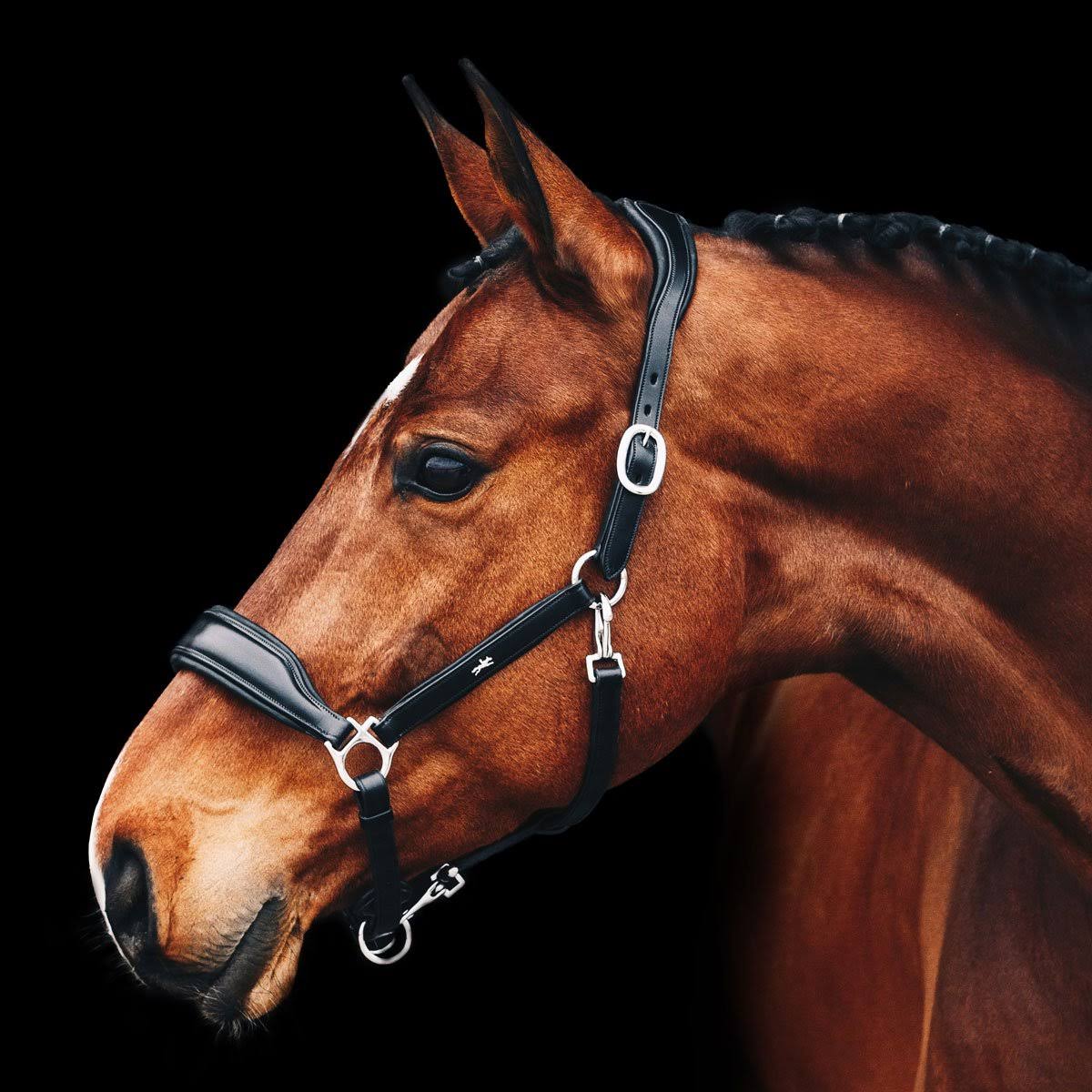 Schockemohle Fremont Anatomical Leather Halter