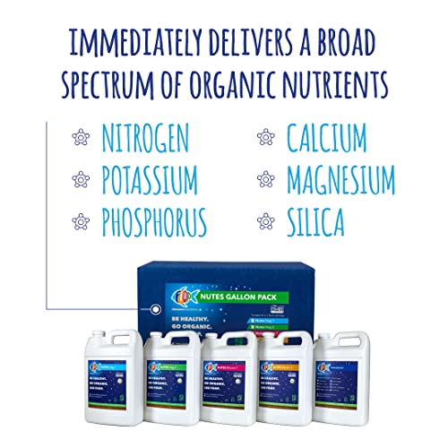 FOOP Nutes Veg & Bloom Gallon Pack Bundle: Organic Plant Nutrients for Root Development, Thick Stalks, Vibrant Green Canopies | Infused with Cal/Mag