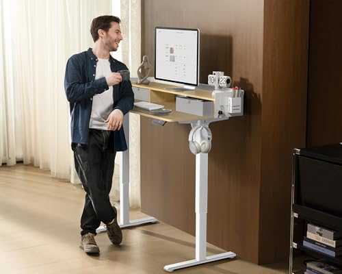 48x24 Inches Electric Standing Desk with 2 Drawers, Height Adjustable Stand up Desk for Home Office, Ergonomic Sit to Stand Table with Storage Shelf