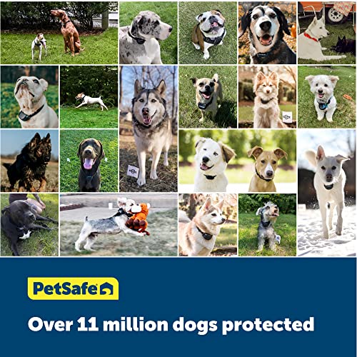 PetSafe Original Wireless Electric Fence for Dogs, Portable for Travel Covers Up to 1/2 Acre, Waterproof Collar for Pets 8lb+ with Tone/Static (Gray)