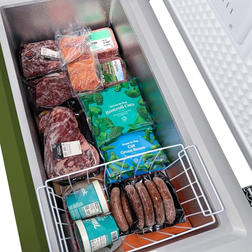 Newair 13.8 cu. ft. Upright Freezer, Fridge Freezer Convertible, Garage Ready Refrigerator, Frost Free Freezer with Door Alarm, Stand up Deep Freezer
