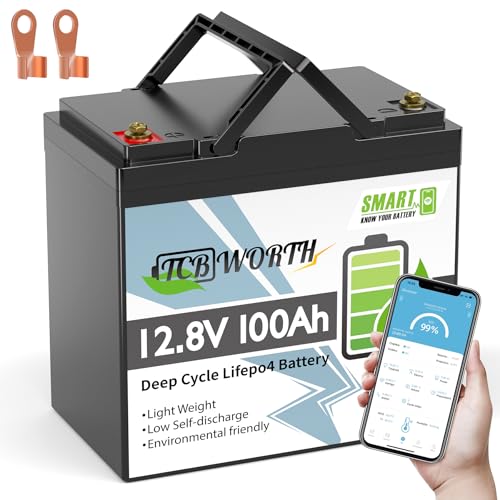 12V 100Ah LiFePO4 Battery, Rechargeabel Deep Cycle Lithium Batteries, 100A BMS with Low-Temp Protection, Perfect for RV, Solar, Boat, Marine