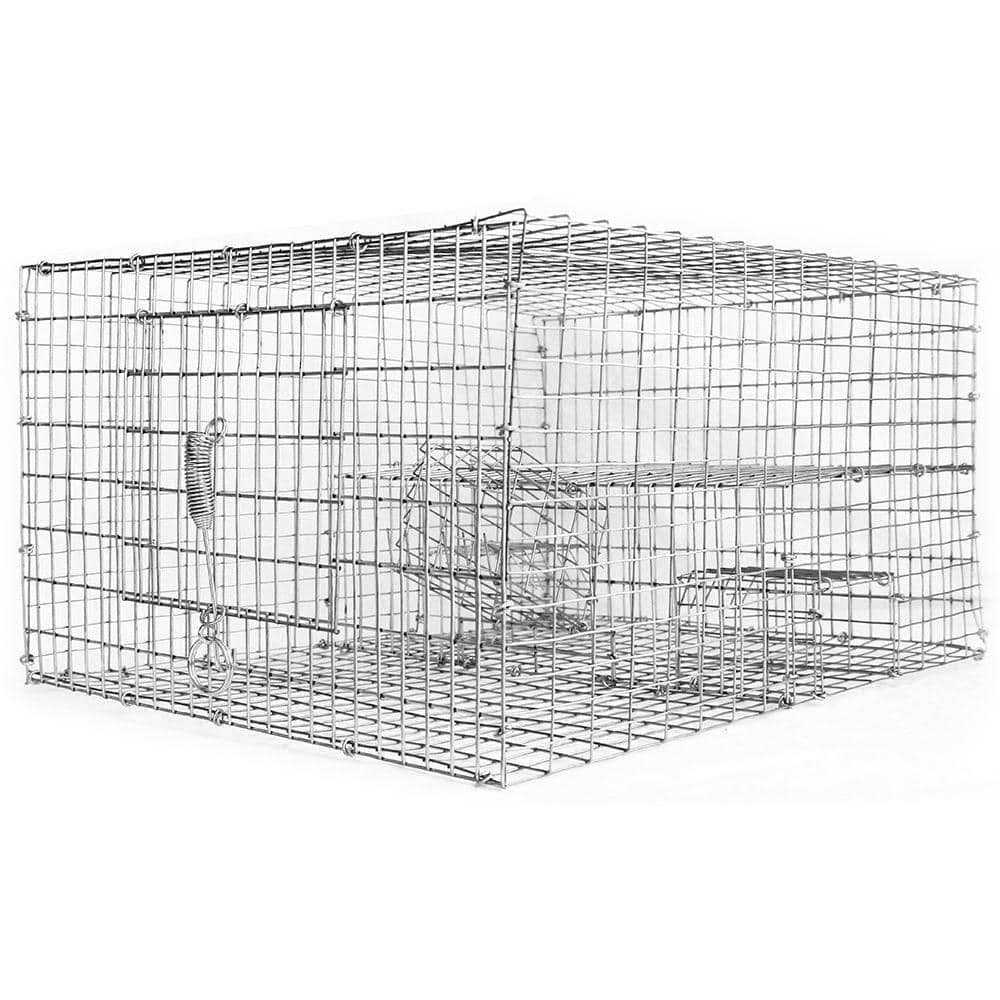 Bird B Gone Sparrow Trap with Two Chambers - Sports Supplies Online Store