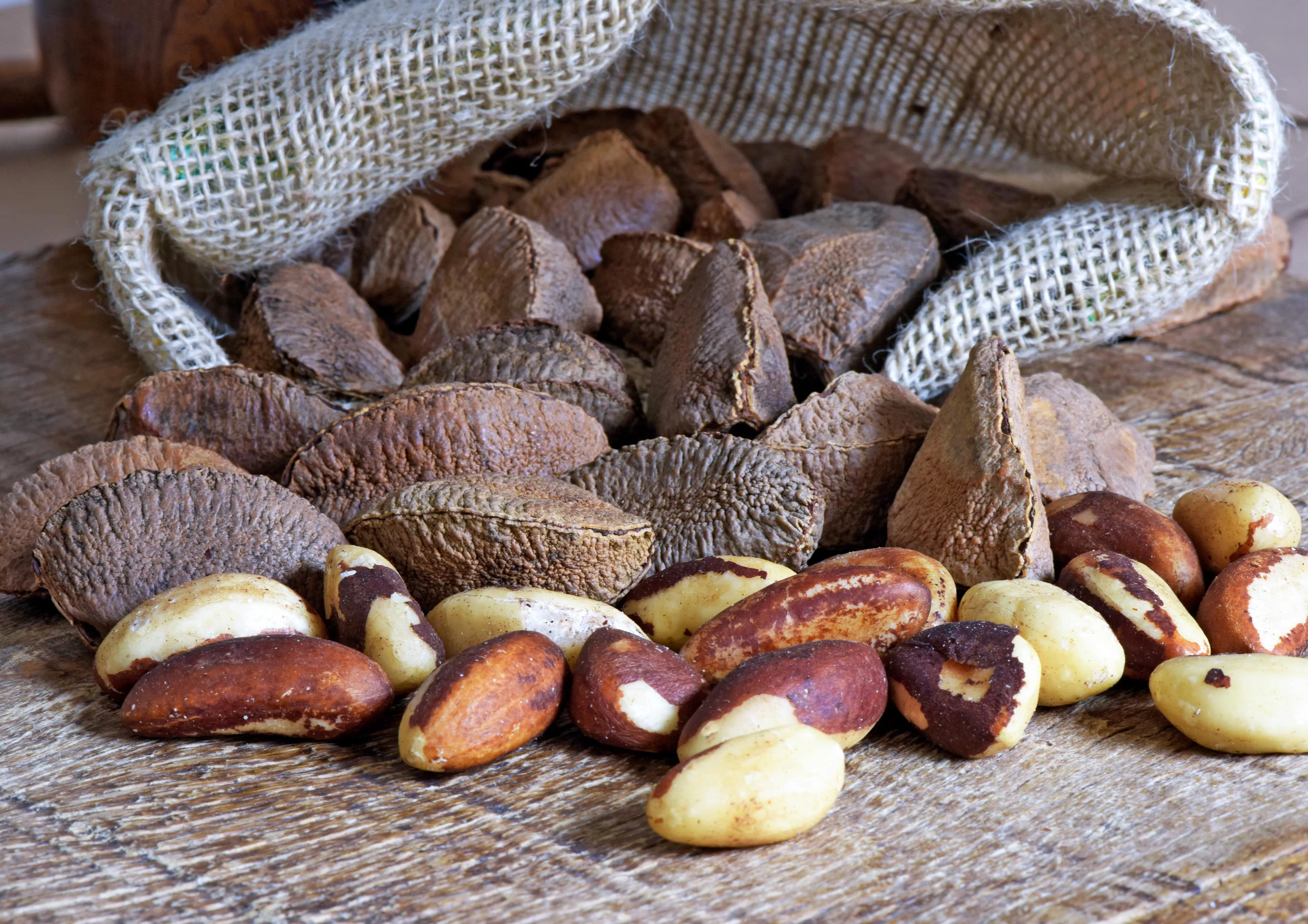 Organic Dry Roasted Brazil Nuts with Himalayan Salt, 4 Pounds — Non-GMO, Kosher, Vegan — by Food to Live