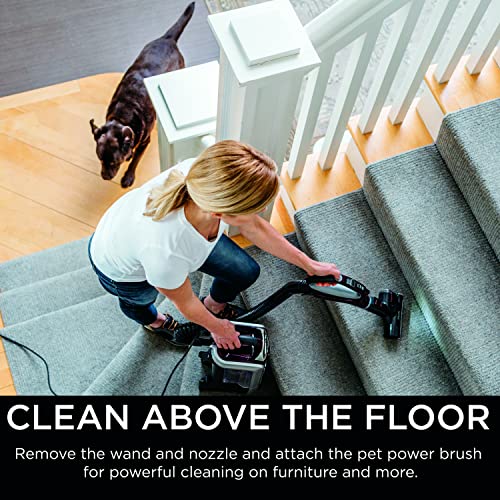 Shark NV752 Rotator Powered Lift-Away TruePet Upright Vacuum with HEPA Filter, Large Dust Cup Capacity, LED Headlights, Upholstery Tool