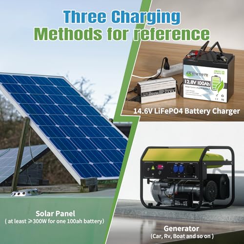 12V 100Ah LiFePO4 Battery, Rechargeabel Deep Cycle Lithium Batteries, 100A BMS with Low-Temp Protection, Perfect for RV, Solar, Boat, Marine