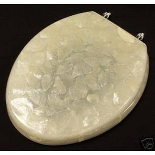 Ginsey Home Solutions Ginsey Elongated Resin Toilet Seat with Chrome Hinges, Capice 59624