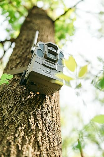 Tactacam REVEAL X Gen 3.0 Cellular Trail Camera - Multi Carrier, HD Photos & Videos, Pre-Installed Antenna, Built-in GPS, Best Battery Life