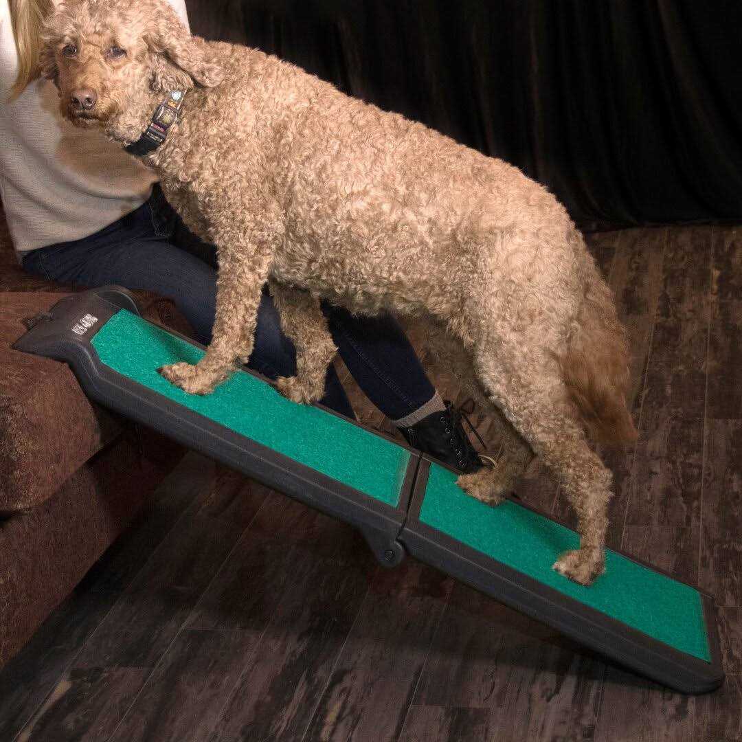 Pet Gear Bi-Fold Travel Lite Ramp with supertraX