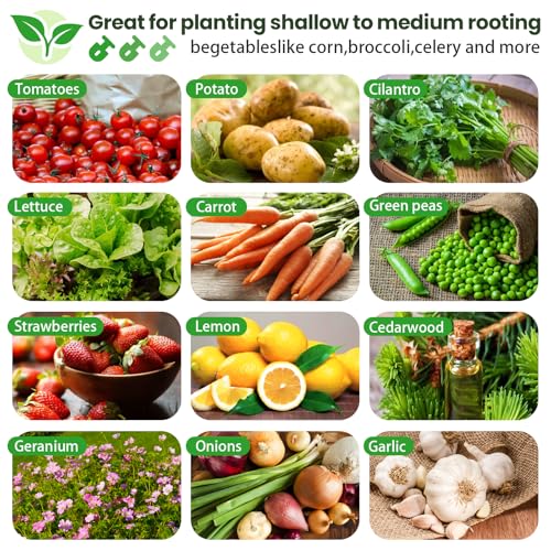4 Pack 6x2FT Galvanized Raised Garden Bed Outdoor,Metal Garden Bed for Vegetables,Steel Raised Beds for Gardening,Above Ground Garden Box for Flower