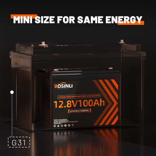 12V 100Ah BCI Group 24 LiFePO4 Battery, Built in 100A BMS, Max. 15000 Deep Cycle Lithium Rechargeable Battery for RV, Trolling Motor, Camping, Marine