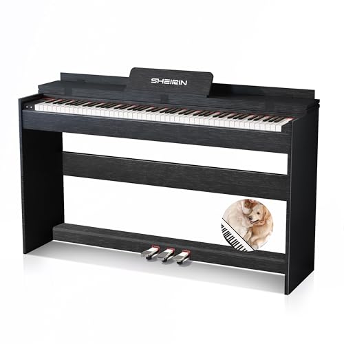 Digital Piano Hammer Action Keyboard 88 Keys Upright Acoustic Electric Weighted Piano Beginner MIDI Cover Full Size Sustain Pedal Stand Real