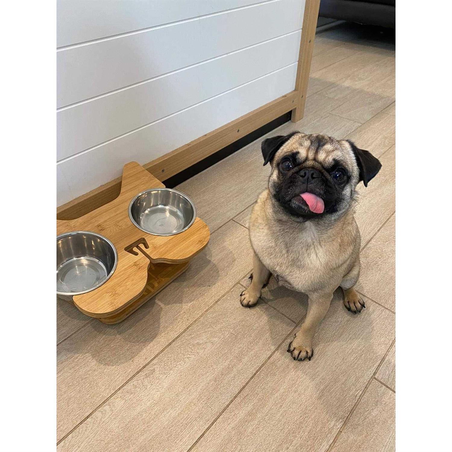 Nibbleypets Elevated Dog Bowl Stand with Stainless-Steel Food and Water Bowls - Pet Supplies online store