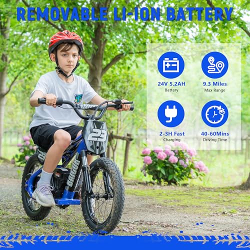 wanan Electric Dirt Bike for Kids 6-12 with Shock-Absorbing Front Fork, 250W Electric Motorcycle Up to 15.5MPH, 24V Detachable Battery, 16''