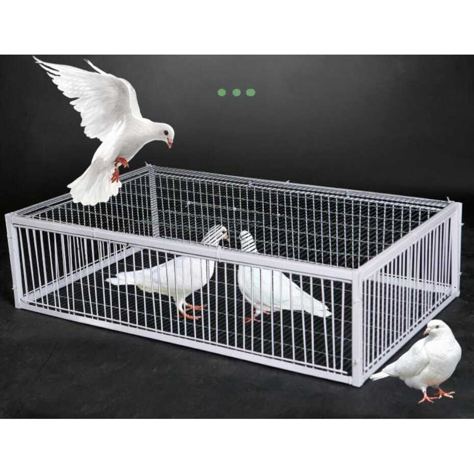 Big Foldable Galvanised Pigeon Dove Bird Trap Cage Feral Pigeon Humane Way with The one-Way Entrance Trapping Pigeons Doves in Cages 1