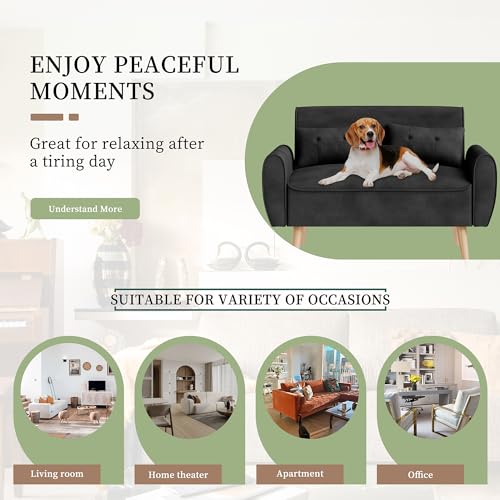 Vongrasig 47" Small Modern Loveseat Sofa