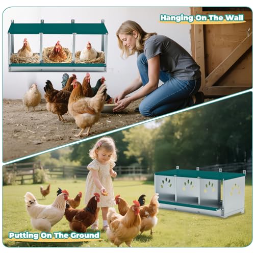 Chicken Coop Nesting Boxes, Wall Mountable Metal Chicken Nesting Box, Easy Egg Collection Roll Away Nesting Boxes Chicken