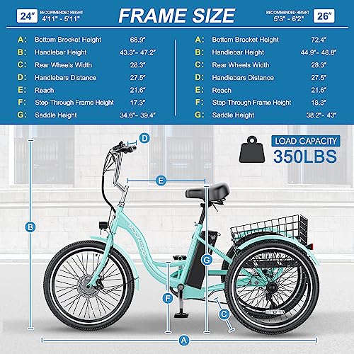 Electric Tricycle Electric Bicycle Electric Trike, 7 Speeds 3 Wheel Electric Bike for Adults with 350W 36V Removable Battery