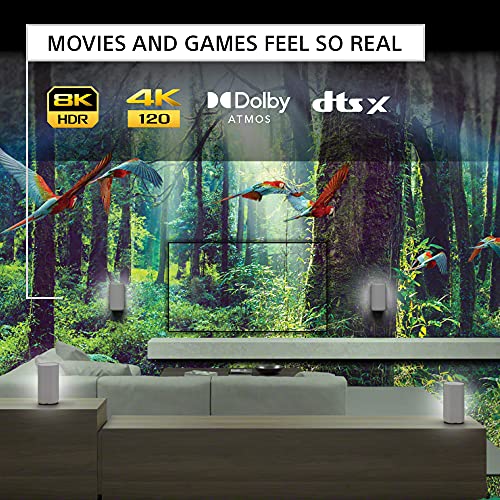 Sony Mini LED 4K Ultra HD TV X95L Series: BRAVIA XR Smart Google TV with Dolby Vision HDR and Exclusive Features for The Playstation- 2023 Model