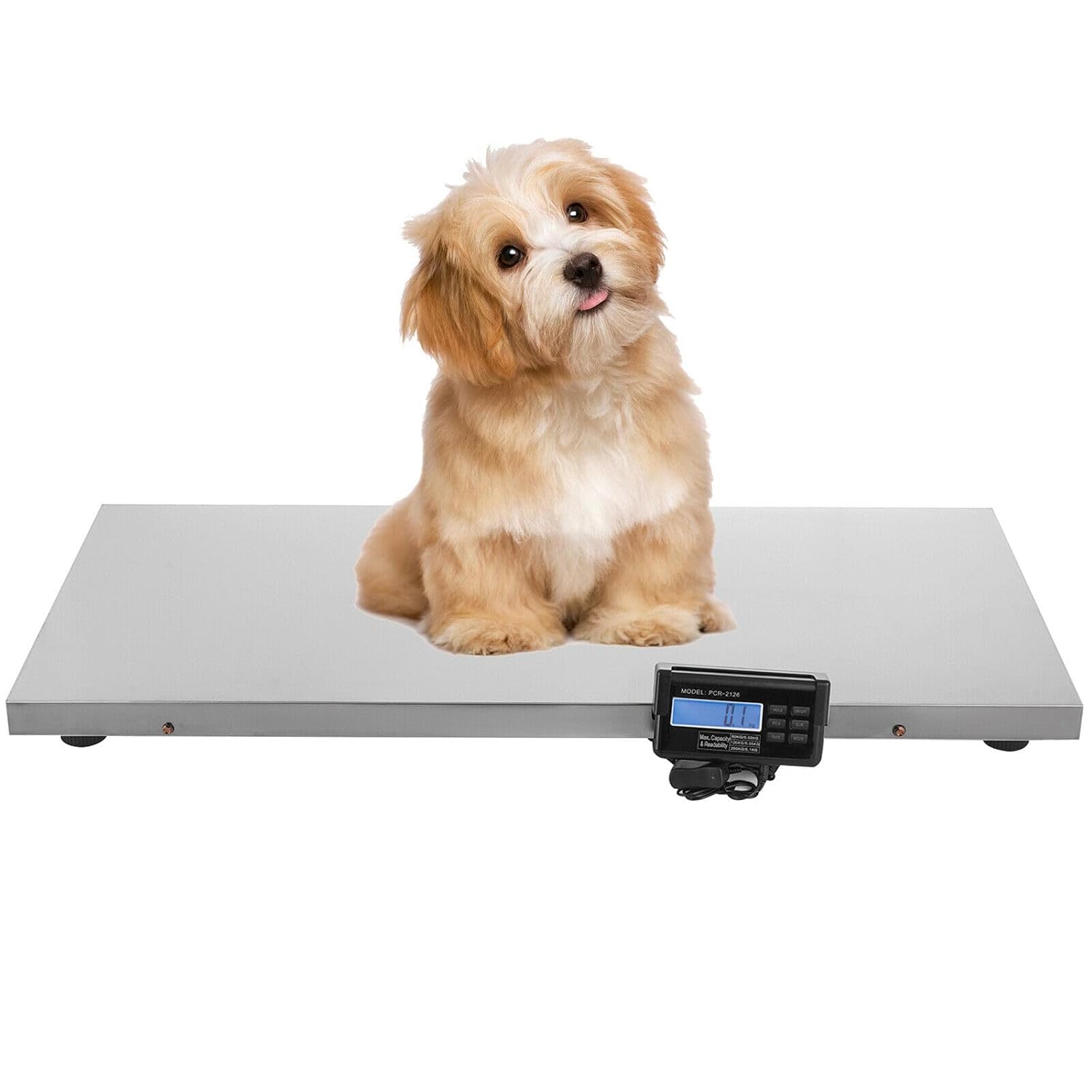 Dog Scale for Large Dogs