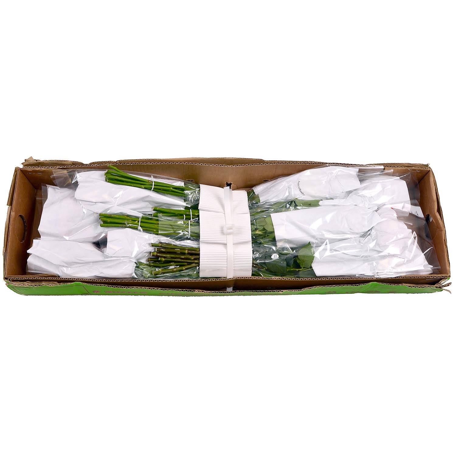 Spray Roses (80 Stems)