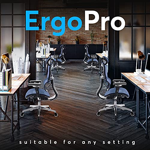 Oline ErgoPro Ergonomic Office Chair, Rolling Desk Chair with 4D Adjustable Armrest, 3D Lumbar Support, Blade Wheels