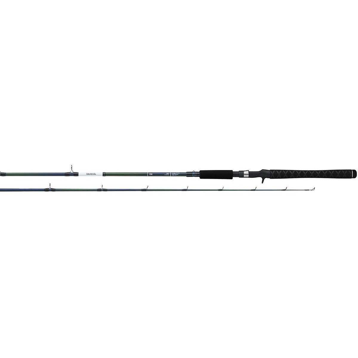 Daiwa RG Walleye Spinning Rod - Sports Supplies Online Store