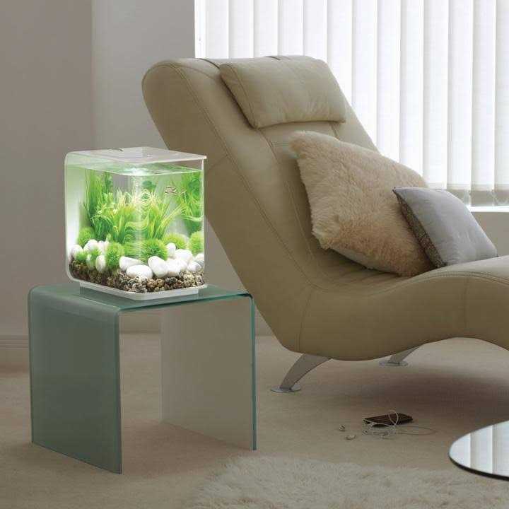 biOrb FLOW LED - Pet Supplies online store