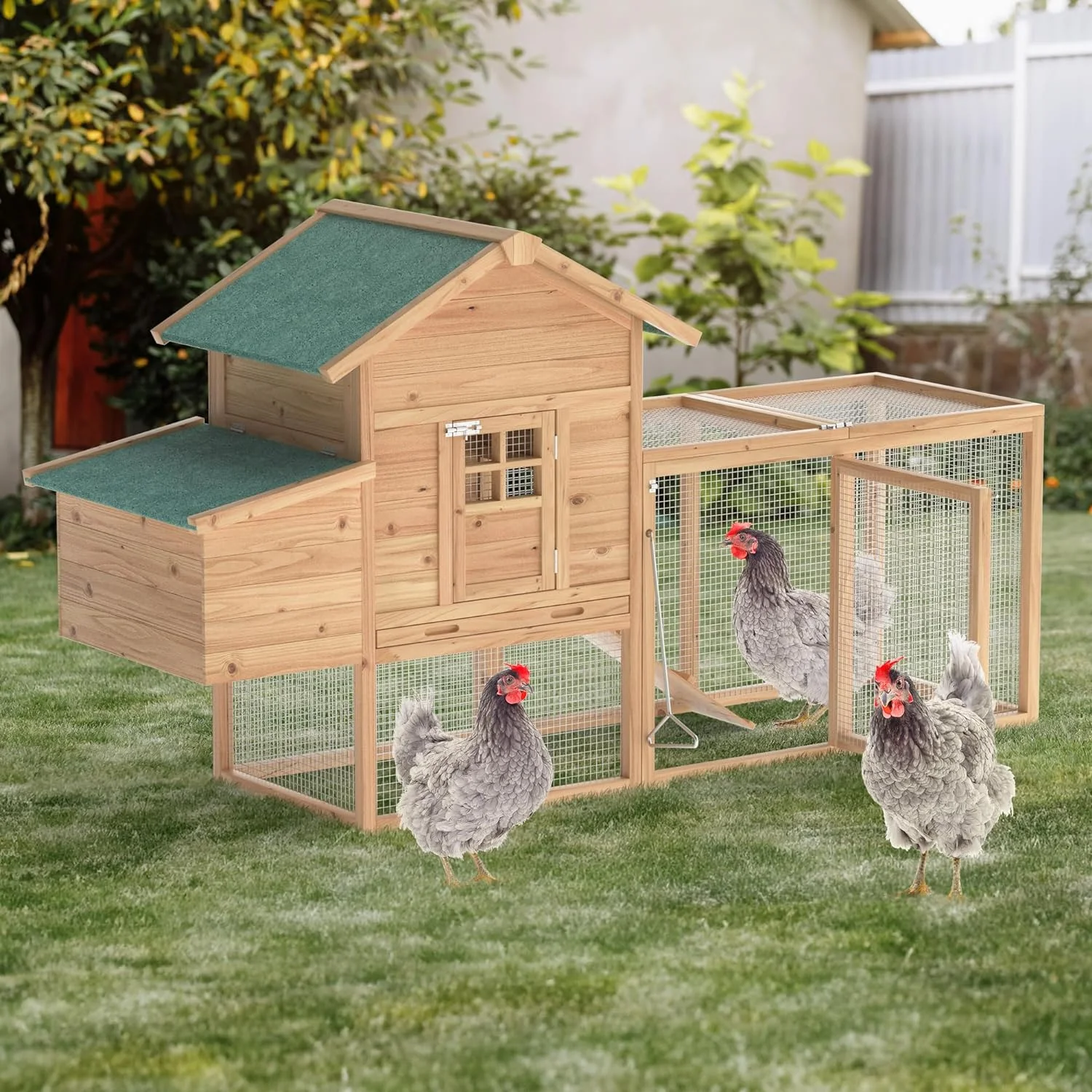 Wooden Chicken Coop