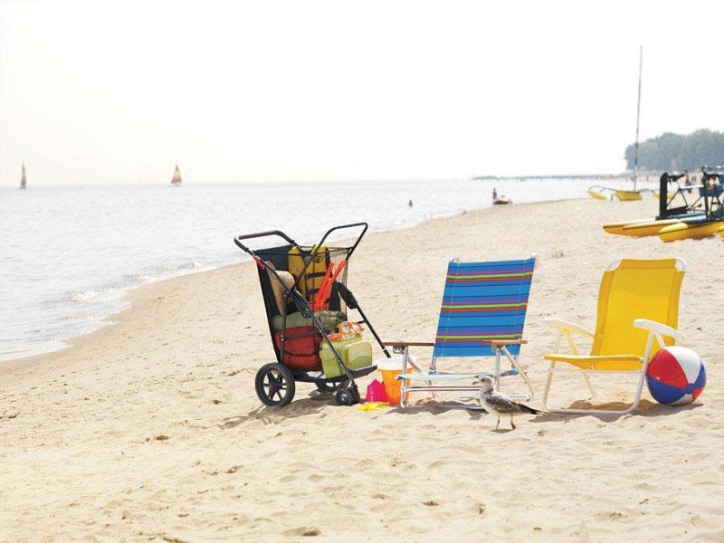 Rio Brands Wonder Wheeler Plus Beach Cart