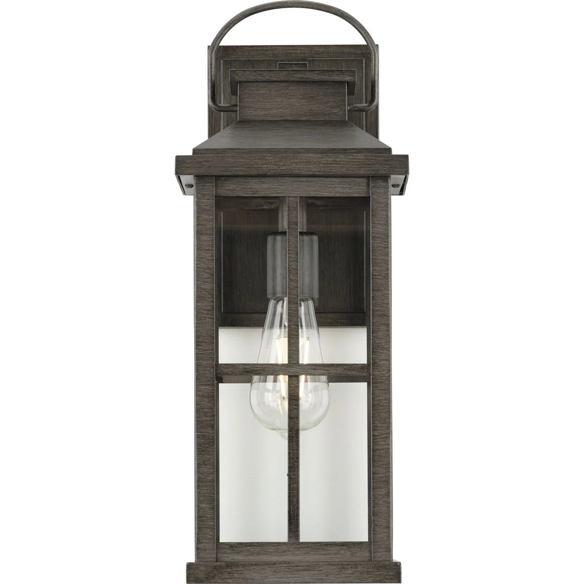 Williamston Collection One-Light Antique Pewter and Clear Glass Transitional Style Large Outdoor Wall Lantern