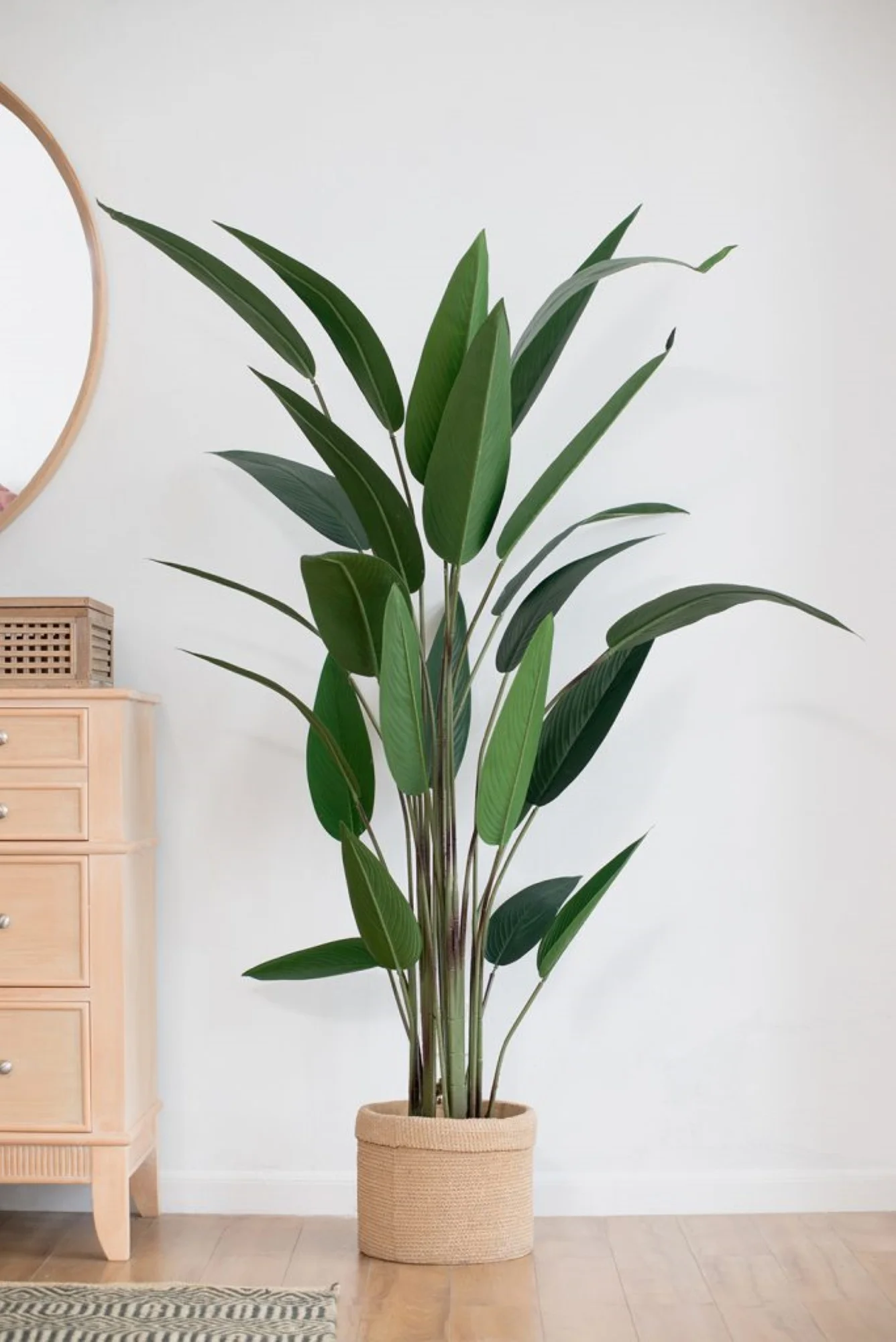 CC Home Furnishings Bird of Paradise Artificial Potted Tree - 6'