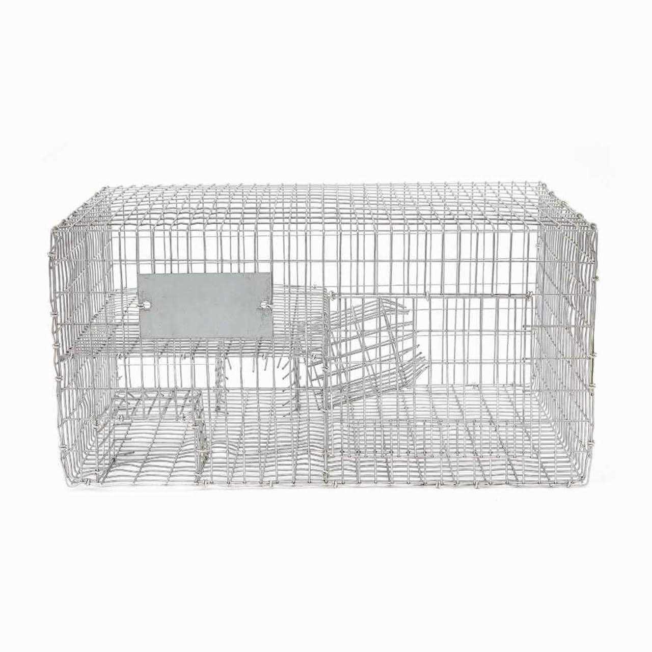 Bird B Gone Sparrow Trap with Two Chambers - Sports Supplies Online Store