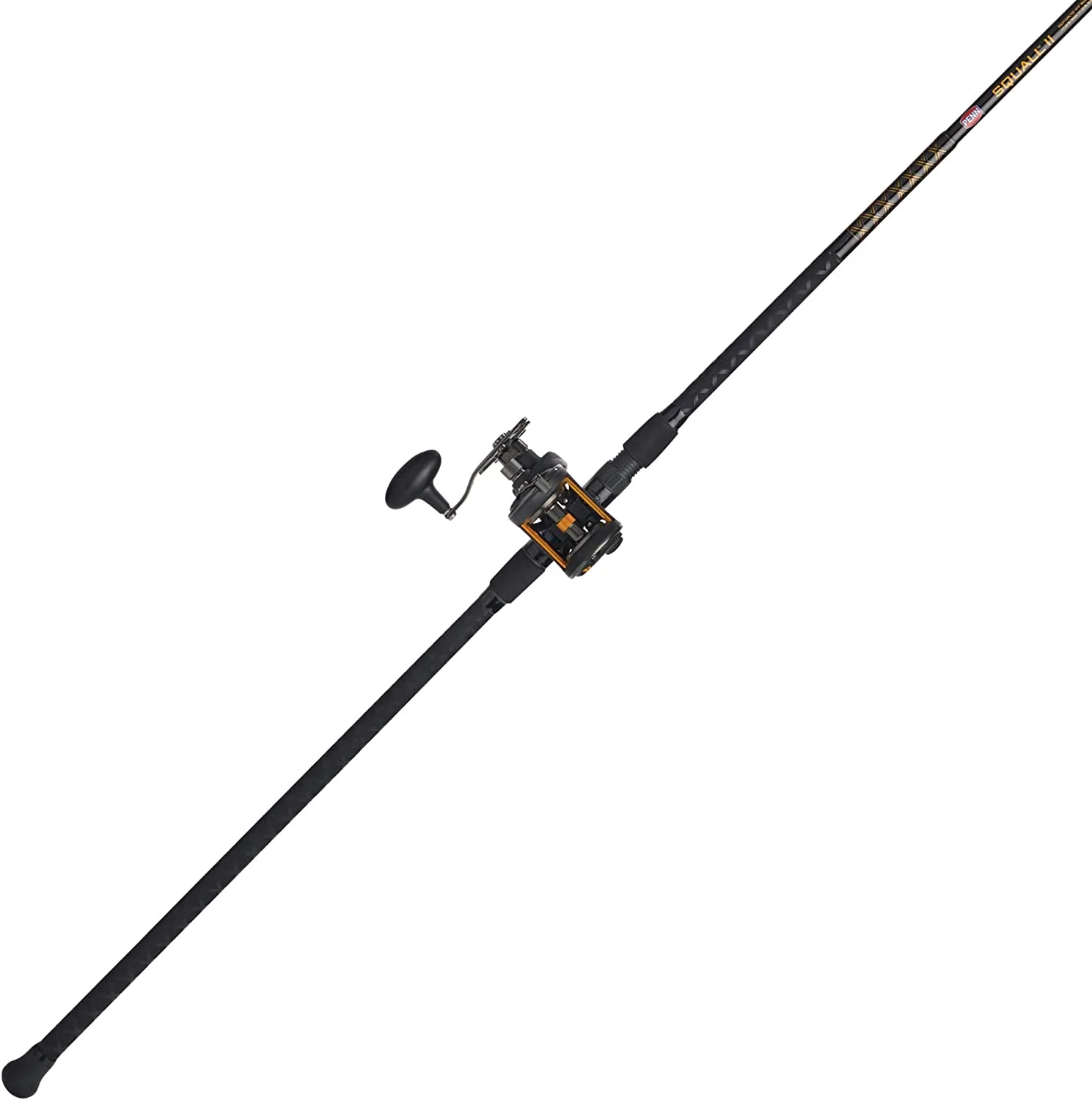 PENN 10' Squall II Star Drag Conventional Combo, Reel Size 15