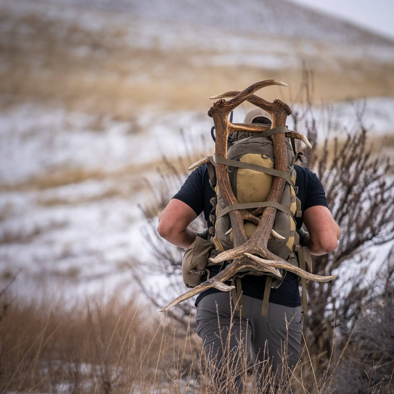 Eberlestock Vapor 2500 Coyote