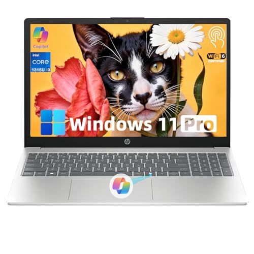 HP 15.6" Touchscreen Business Laptop Computer - Intel 13th Core i3-1315U(Up to 4.5GHz), Intel UHD Graphics, Anti-Glare, Windows 11 Pro (16 GB RAM