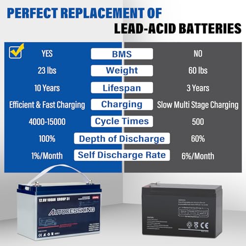 12V 100Ah BCI Group 24 LiFePO4 Battery, 100A BMS Rechargeable Mini Lithium Battery with Low-Temp Protection, Up to 15000 Cycles Perfect for RV
