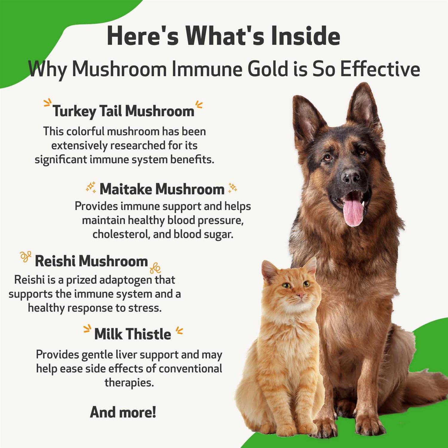 Pet Wellbeing Mushroom Immune Gold for Cats and Dogs - Pet Supplies online store