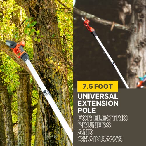 T TOVIA Cordless Electric Pruner Kit, 1.6 Inch Pruning Shears and 5 Inch Handheld Electric Chain Saw with 75 Inch Foldable Extension Pole