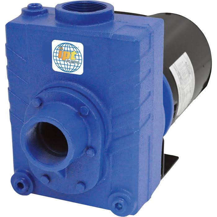 IPT Cast Iron Self-Priming Centrifugal Water Pump - 7,500 GPH, 2 HP, 2inch, Model 2763-IPT-95