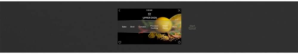 GE Profile PTS9200SNSS 30" Built-in Twin Flex Convection Wall Oven with 5 cu. ft. Capacity WiFi Connect and True European Convection with Direct Air