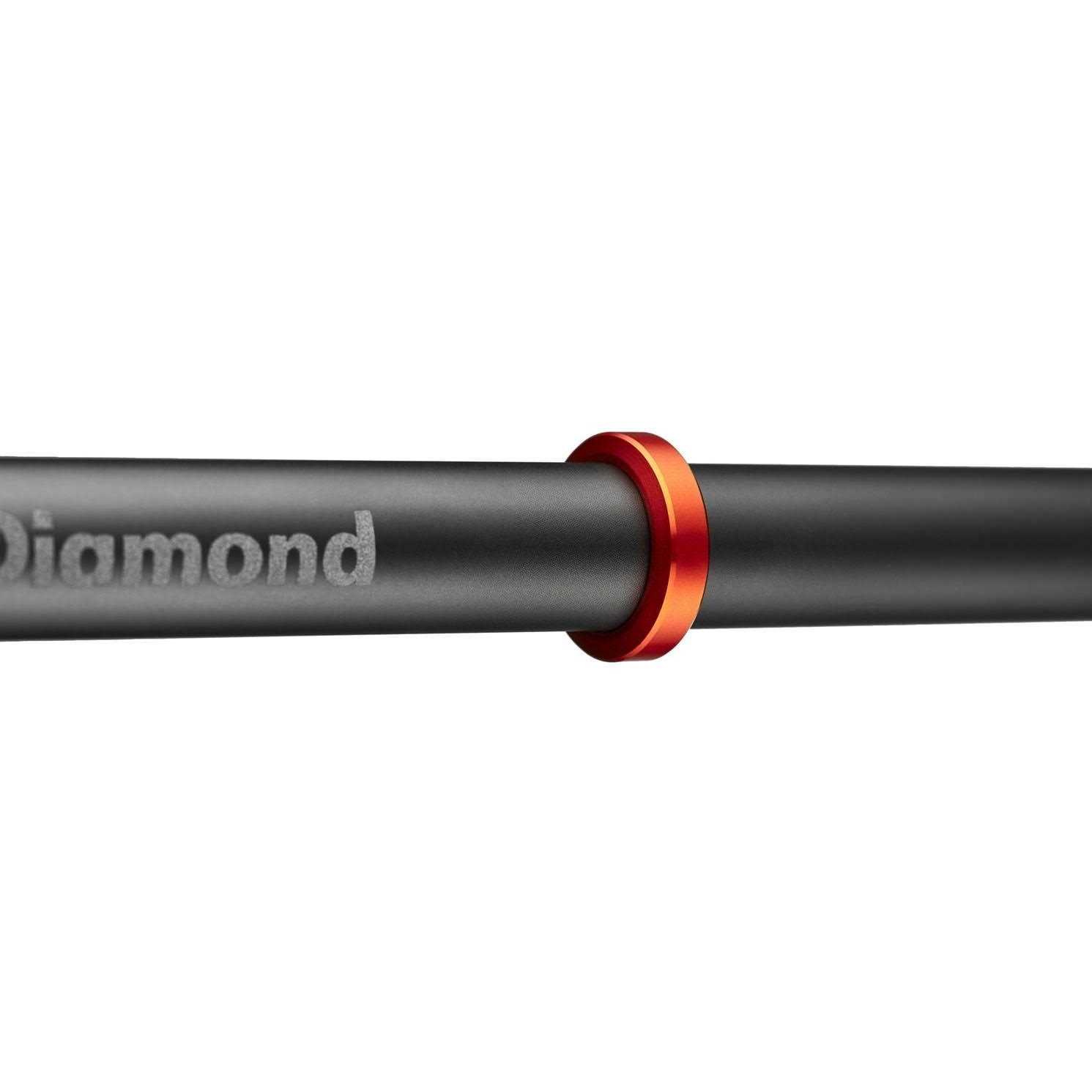 Black Diamond Carbon Whippet Ski Pole - Sports Supplies Online Store