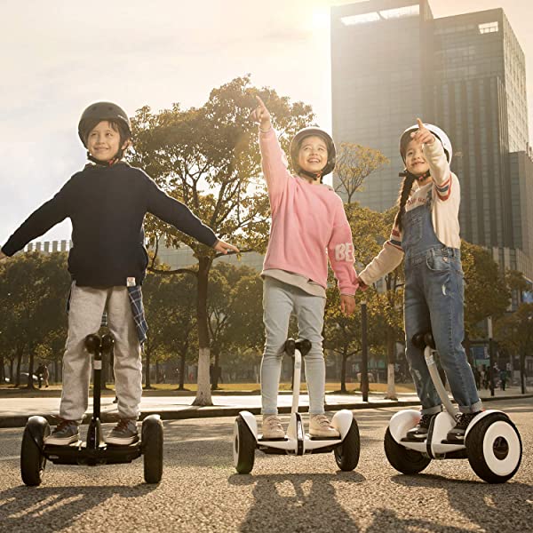 Segway Ninebot S and S-Max Smart Self-Balancing Electric Scooter with LED Light, Powerful and Portable, Compatible with Gokart kit Ninebot S, Black