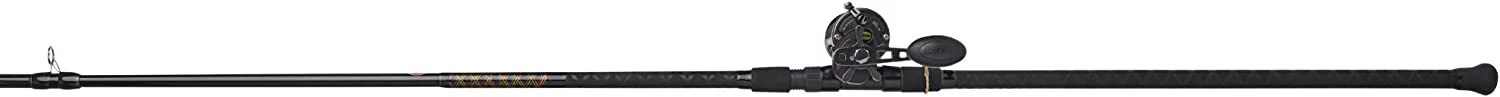 PENN 10' Squall II Star Drag Conventional Combo, Reel Size 15