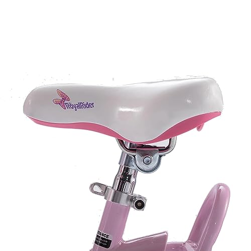 Royalbaby Princess Girls Kids Bike 12 14 16 18 20 Inch Children Bicycle with Basket for Age 3-12 Years